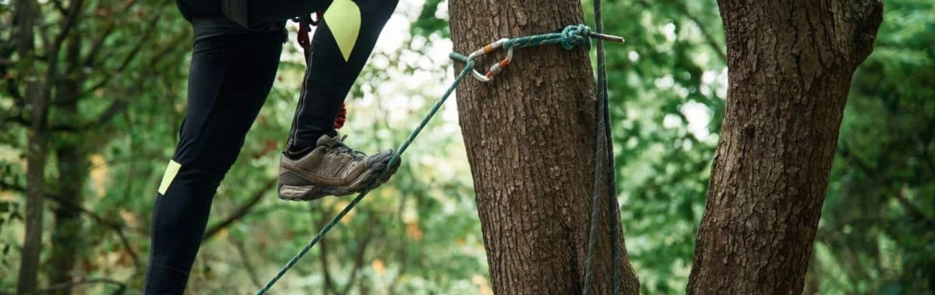 Arborist & Tree Care