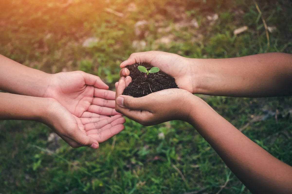 Giving back to Nature